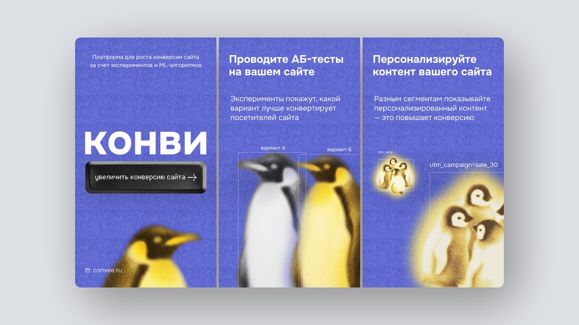 TikTok для выбора отеля, платформа для роста конверсии сайта — и ещё 8 российских стартапов - 2